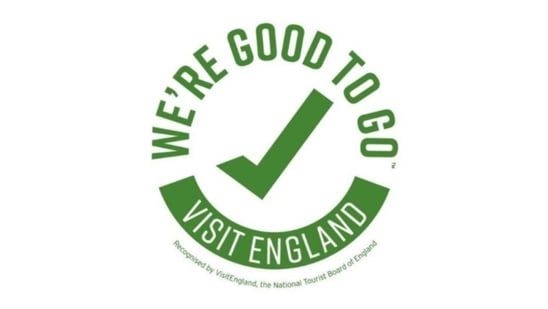 Good to go logo-1-1