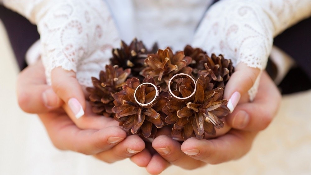 WEB Pine cones winter wedding-593648-edited